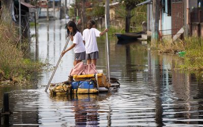 Bishops prioritize creation care